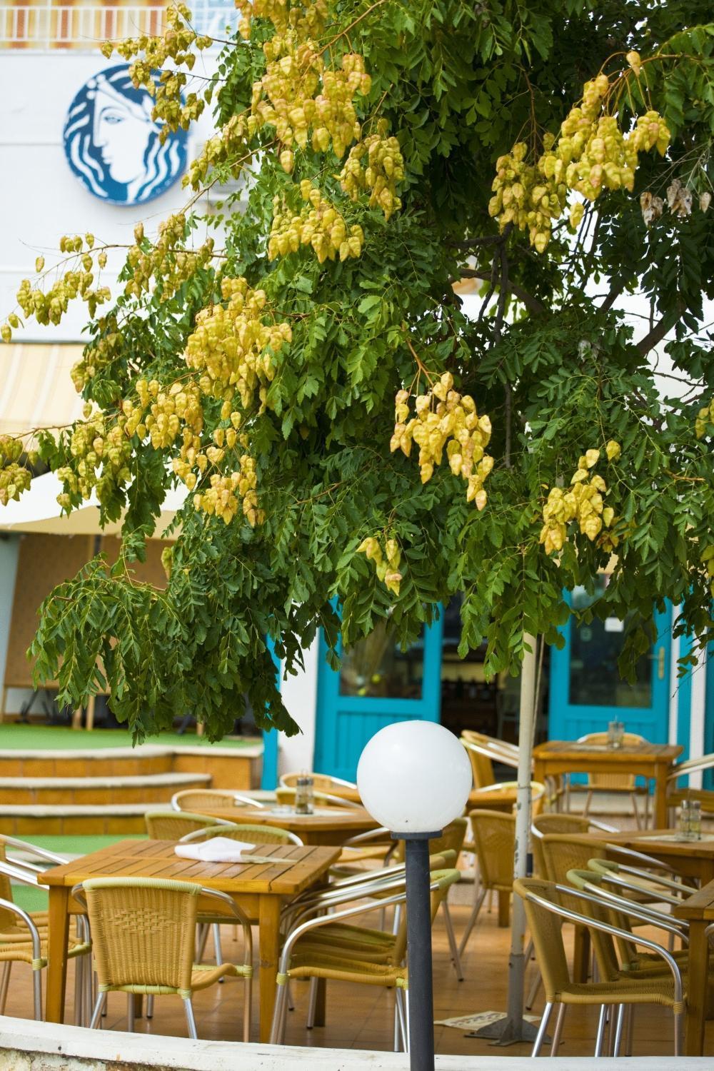 Kaliopa Hotel Albena Bagian luar foto